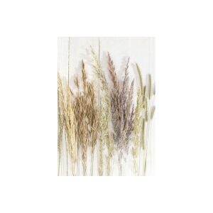 Természet Golden Harvest A/4 Gumis Mappa - Papír 138928452 - Iratrendezés