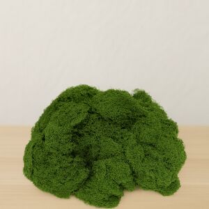 Élethű Moha Selyemszálakból - Mély Mohazöld, 500g