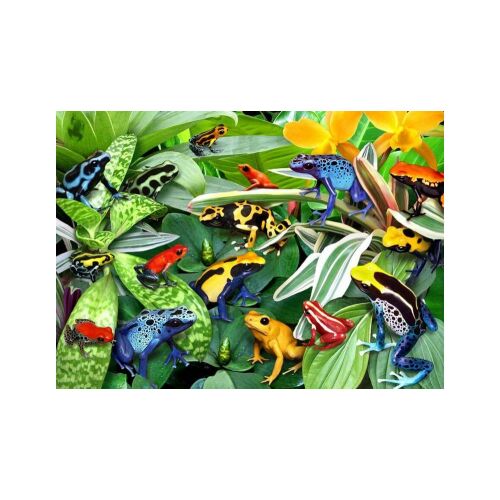 Alipson Fun Frogs 500 darabos puzzle kép - Alipson