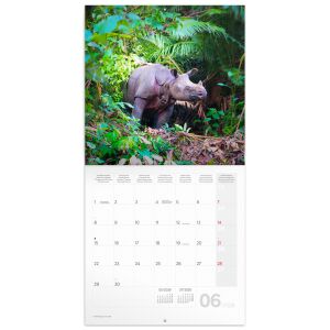 Realsystem 2026 Fali Naptár - Veszélyeztetett Állatok Téma - REALSYSTEM
