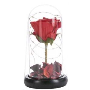 Világító Örökrózsa Üvegbúrában - LED Fény, Piros Rózsa 139228948 - Ajándék ötlet Valentin-napra