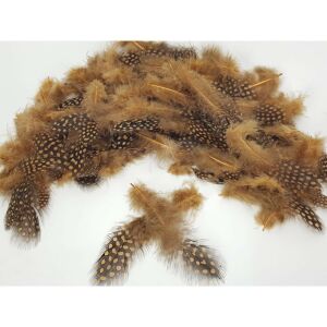 Rozsdabarna Gyöngytyúk Tollak - 7-8 cm, 100 db 139496587 - Őszi dekorációs kellék