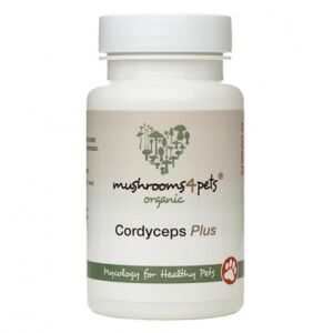Mushrooms 4 Pets Cordyceps Plus - Kutyáknak és Macskáknak - 60 kapszula