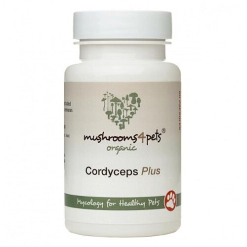 Mushrooms 4 Pets Cordyceps Plus - Kutyáknak és Macskáknak - 60 kapszula 139511053