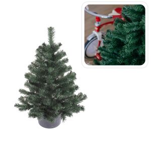 Zöld Ág Montana Fenyő Cserépben - 0,8 m 139574798 - Szezonális dekoráció