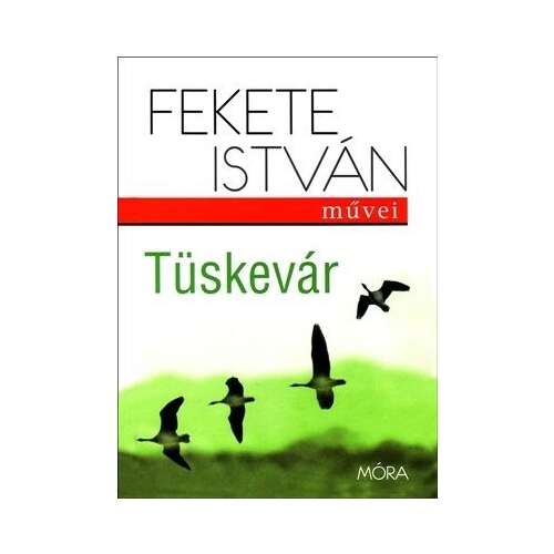 Tüskevár 45494614