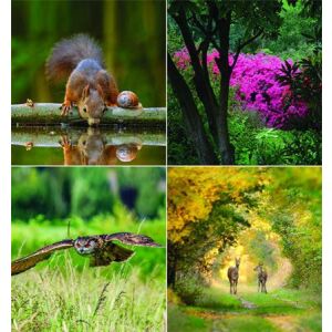 Naptár, fali, CSG "Erdeink világa" 139747445 - Naptár