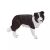 Mojo Border Collie figura 139792694