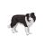 Mojo Border Collie figura 139792694