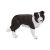 Mojo Border Collie figura 139792694