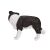 Mojo Border Collie figura 139792694