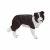 Mojo Border Collie figura 139792694