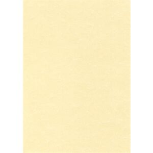 Előnyomott papír, A4, 95 g, pergamen hatású, APLI, pezsgő 139793079 - Előnyomott papír