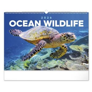 REALSYSTEM 2026 Wildlife Naptár - Óceáni Teknős - REALSYSTEM