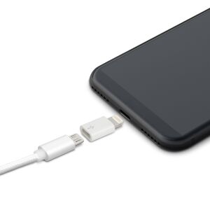 Adapter - iPhone Lightning - MicroUSB 139909690 - Delight
