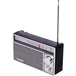 Vedere unghiulară a radioului portabil AM/FM/SW cu antena extinsă, argintiu - Radiouri