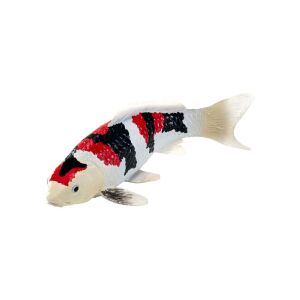 Mojo Sealife Koi ponty  Showa Sanshoku Koi  381103 139963482 - Mojo