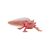 Mojo Wildlife Axolotl figura 381108 139963530