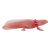 Mojo Wildlife Axolotl figura 381108 139963530