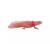 Mojo Wildlife Axolotl figura 381108 139963530