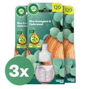 Air Wick Blue Eucalyptus & Cedarwood Пълнител за ароматно масло, 3 броя - Освежител за въздух