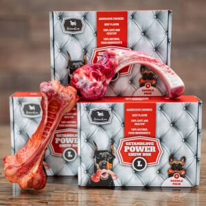 GetandLove Power Chew Box L: Žuvacie kosti pre psov s hovädzou príchuťou pre agresívnych žuvačov, dvojbalenie - Hračky pre psov