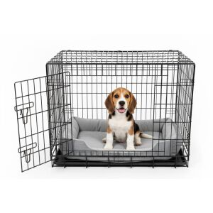 Cușcă portabilă pentru câini Pepita cu cățeluș beagle în interior - Cușcă, lădiță, colivie, accesorii