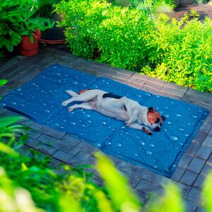 Hundekühlmatte, Kutya Hűsítő Matrac MD Größe, Hund liegt auf Kühlkissen - Viehzucht