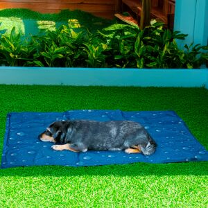 Podloga za hlađenje pasa, Kutya Hűsítő Matrac veličina L, podloga za hlađenje kućnih ljubimaca za ljeto - Oprema za ljubimca