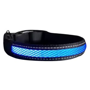 Zgardă LED albastră pentru câini pentru siguranță pe timp de noapte - Coliere pentru animale de companie