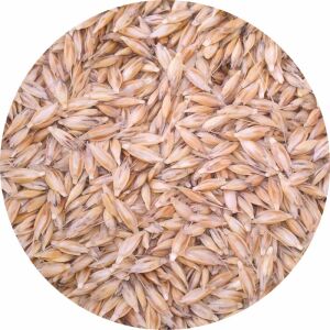 Alakor "vetőmag" 30kg 140234215 - Gabonaféle