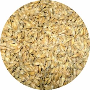 Tönköly "vetőmag" 30kg 140234243 - Gabonaféle