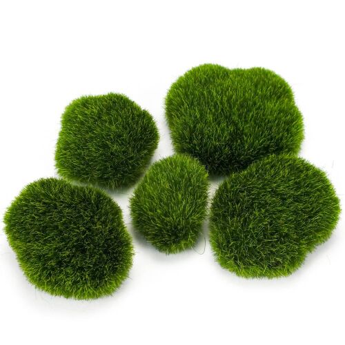 Dekoratív füves kövek 5db/cs 140235304