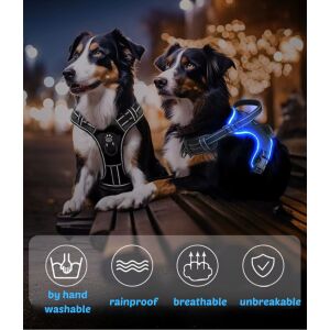 Szelki LED dla psa dla bezpieczeństwa w nocy, odblaskowe i wodoodporne, pokazane na dwóch psach - Trzymanie kotów