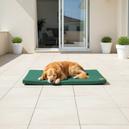 Gelato vízálló kutyafekhely, L 92x61 cm, zöld 140240597
