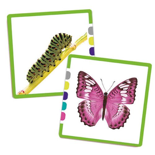 Képkártyák, keresd a párját Akros fejlesztő játék 140344877