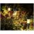 Lămpi solare LED Gardlov pentru grădină iluminând flori noaptea, decor de grădină exterior