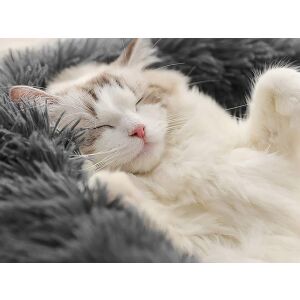 Mačka pohodlne spí v plyšovom sivom pelechu pre domáce zvieratá - Pelechy pre psov