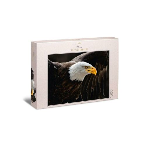 Ulmer The Sea Eagle 1000 darabos kirakós puzzle doboza, melyen egy fehérfejű rétisas portré látható. - Puzzle és kirakó