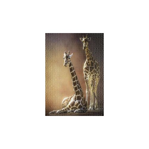 Kirakott Ulmer Giraffe Love 1000 darabos kirakó - Puzzle