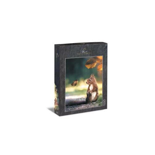 Ulmer 1000 darabos puzzle doboz mókus és pillangó mintával - Puzzle