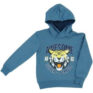 DopoDopo Chłopiec Ubranko dla psa UE 104) 140433113 - Sweter dziecięcy