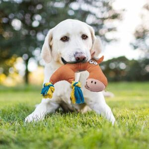 Комплект от 6 играчки за кучета Dociote, памук, многоцветни 140454847 - Игри за кучета