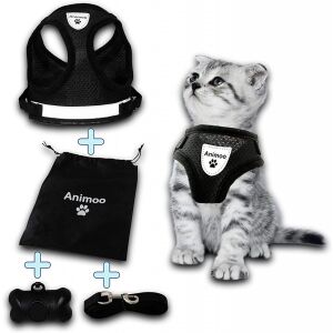 4er Set Animoo Katzenzubehör, Textil, Schwarz, Größe XL 140454892 - Geschirr für Kleintiere