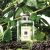 Jo Malone Blackberry & Bay Cologne szederrel és babérlevéllel körülvéve