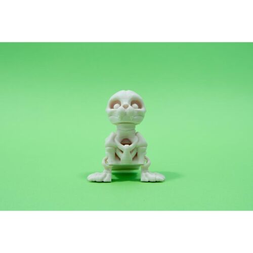 3D nyomtatott csont Fóka 141135135