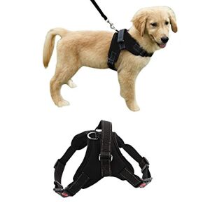 Hundegeschirr, reflektierend, bequem, Größe S 141189591 - Geschirr für Kleintiere