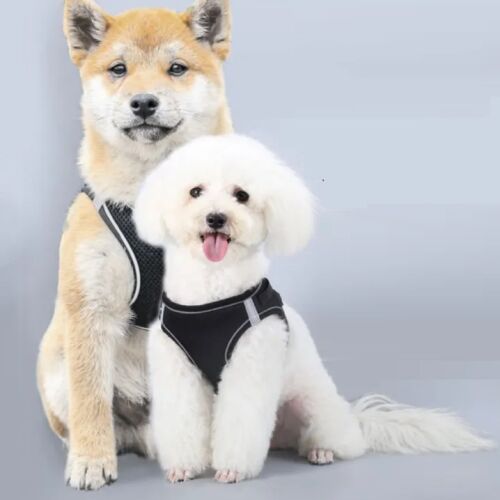 Geschirr für kleine Hunde mit reflektierenden Elementen, bequem, Größe XXXS, Farbe Schwarz, AniOne Germany 141190285