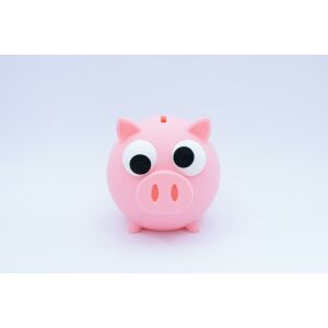 3D Nyomtatott Malac Persely