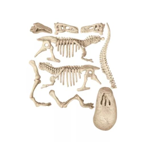 Clementoni: Archeofun - T-Rex leuchtet 141279460